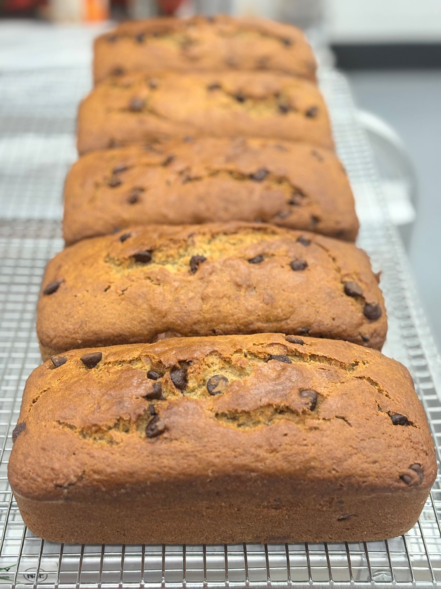 Banana Chocolate Chip Bread Mix - Vegan Antioxidant Rich Baking